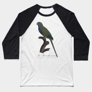 Monk Parakeet / La Perruche Souris - Jacques Barraband 19th century Illustration Baseball T-Shirt